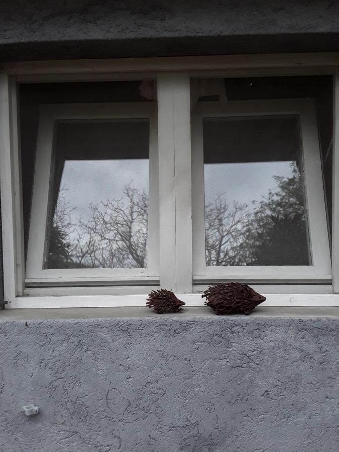 L'Albero Di Alberto Bed & Breakfast Valverde  Екстериор снимка